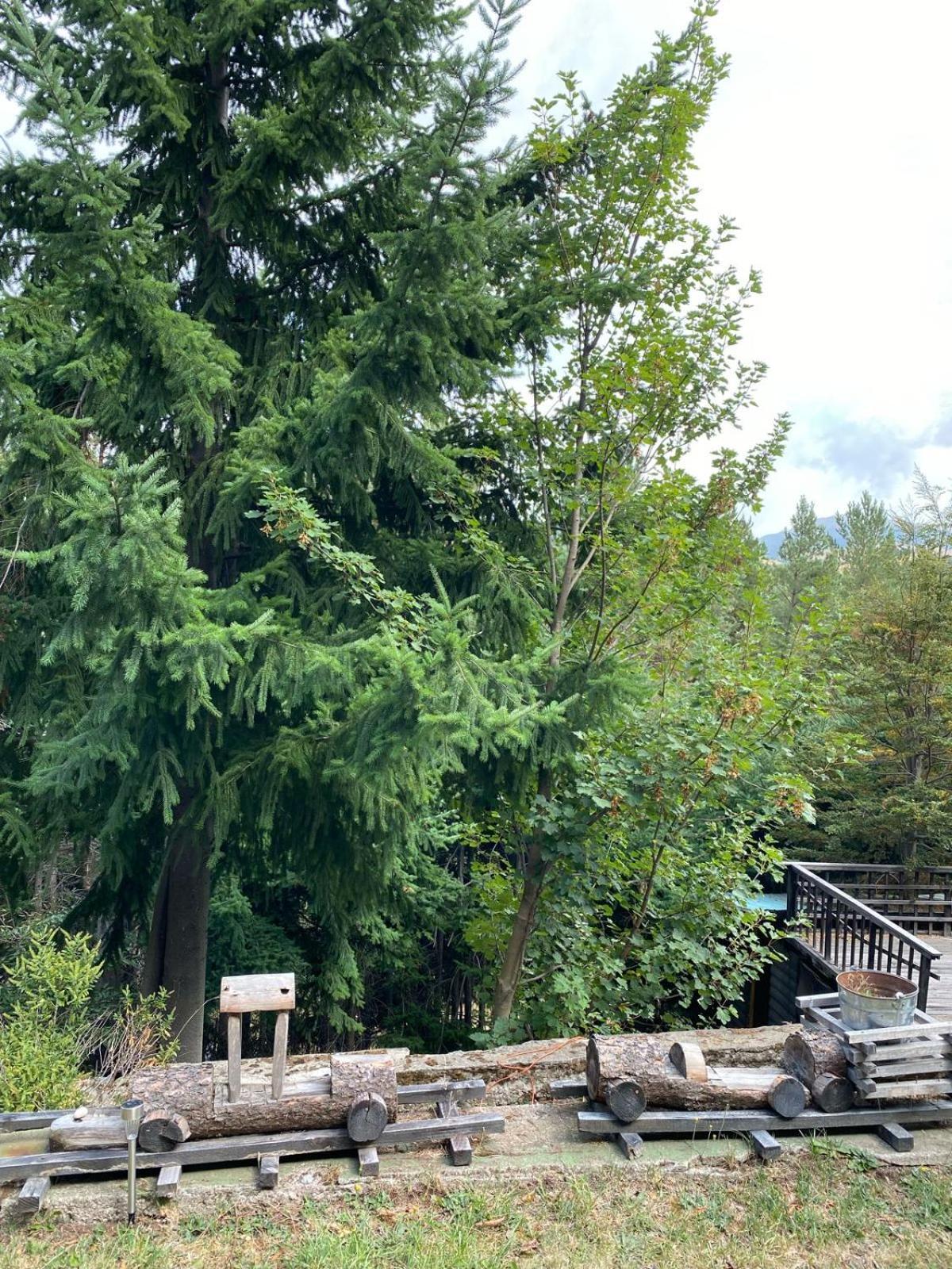 The Patagonian Lodge Coyhaique Dış mekan fotoğraf