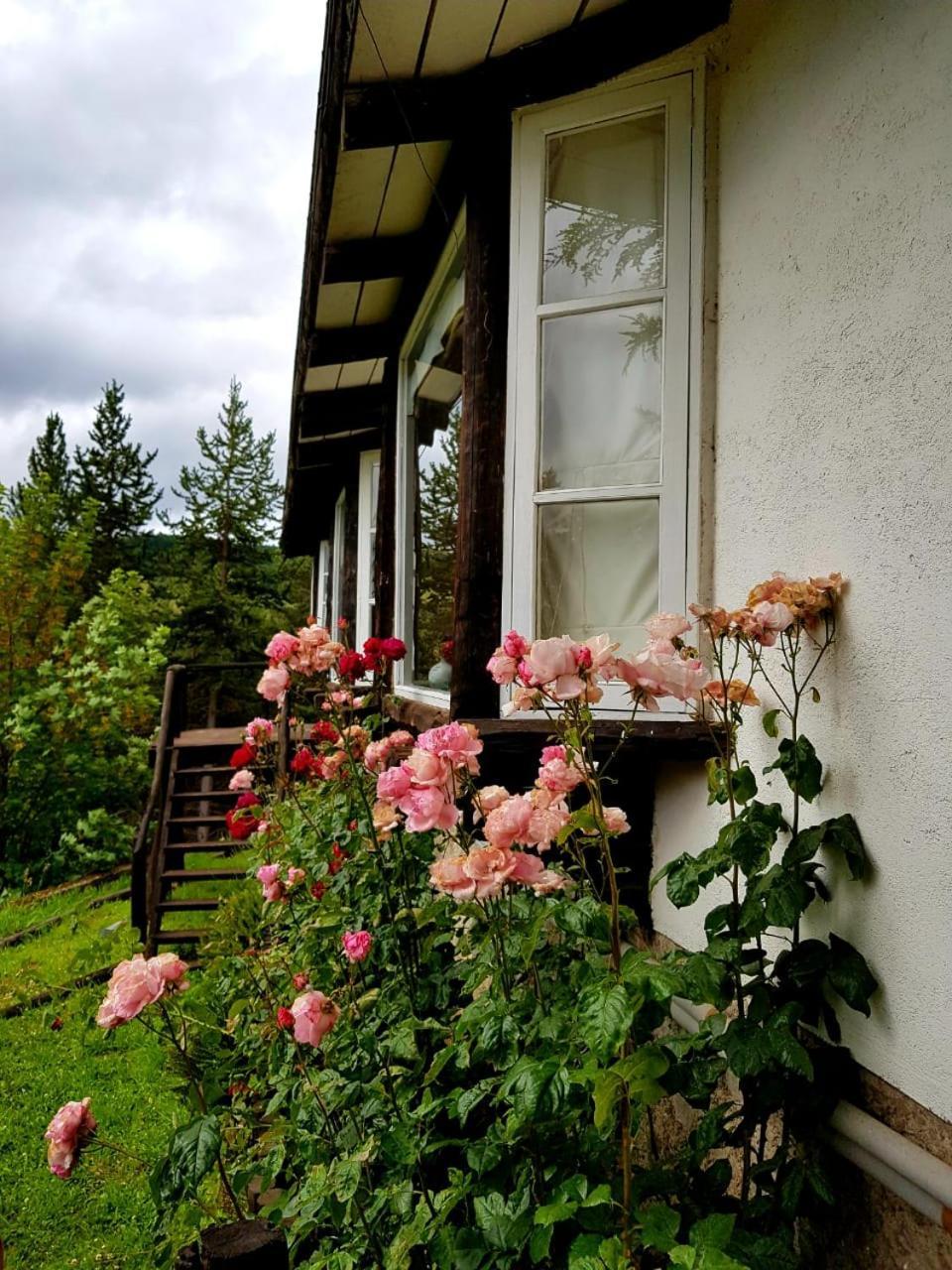 The Patagonian Lodge Coyhaique Dış mekan fotoğraf
